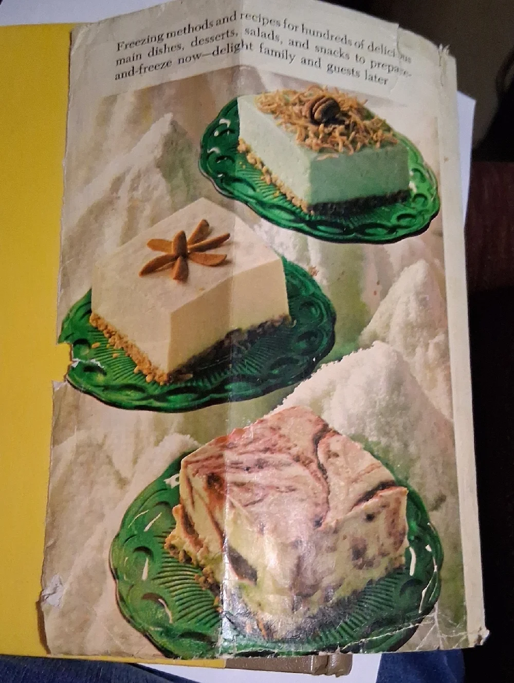 freezing & canning cookbook book cover
